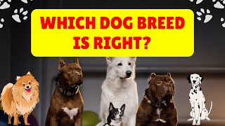 Top Dog Breeds Explained by a Vet [upl. by Bail]