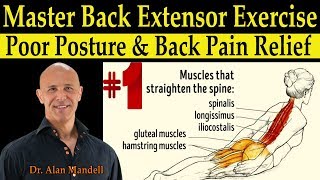 1 Master Back Extensor Exercise for Poor Posture amp Back Pain Relief  Dr Alan Mandell DC [upl. by Aieken654]