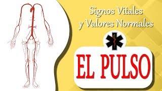 QUE ES EL PULSO cardiaco   Signos Vitales [upl. by Othe]