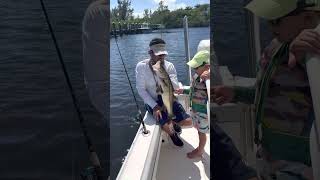 Slot Size Snook hitthat fishmiami saltstrong hitthatagain [upl. by Nosde352]