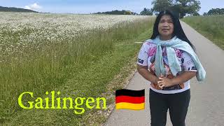 Gailingen Germanyvlog myswitzerland wineyard highlights mountains travel [upl. by Edlyn7]