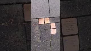 Stolpersteine 280 [upl. by Aicire]