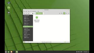 Installing Google Chrome Linux mint [upl. by Ylurt]