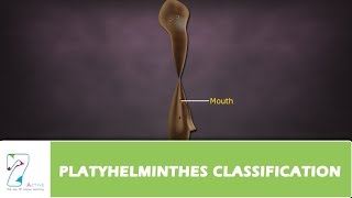 PLATYHELMINTHES CLASSIFICATION [upl. by Rebmac]