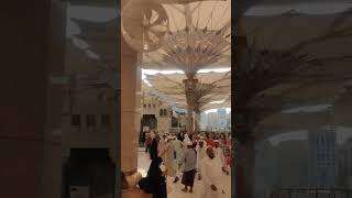 Live view inside of Masjid e Nabwi Hadi Umrah group [upl. by Davidde]