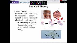 Lesson 12 Cell Theory and Viruses [upl. by Edivad813]