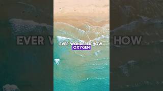 Ever Wondered How Oxygen is Made [upl. by Eynenihc]