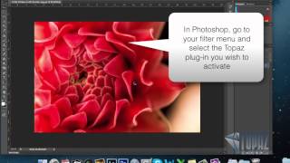 How to enter your license key into Topaz Labs [upl. by Anelahs]