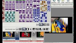 Tutorial Proshow Gold Portugues [upl. by Nonez]