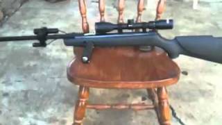 Overview of my Gamo Big Cat 1200 177 [upl. by Eno]