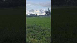 Insecticide spraying DJI T40 drone djidrone agriculture djit40 agriculturedrone sorts [upl. by Nnylassej]