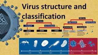 Virus structure and Classification  DNA and RNA virus [upl. by Linzy]