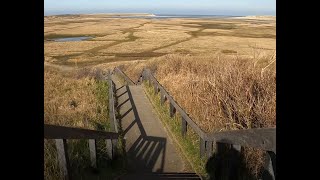 🇳🇱 Biking Across Texel Island Netherlands 2024 [upl. by Kostman]