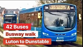 Busway Walk From Luton to Dunstable 🚍 I Filmed 42 Buses Pass Me [upl. by Aig]