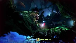 Ori and the Blind Forest Ginso Tree Walkthrough [upl. by Ynez295]