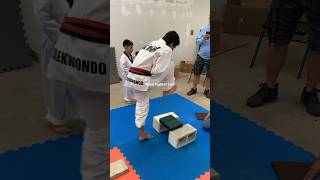 Boards don’t hit back but teach technique amp confidence 💥Martial Arts Foot Stomp Board Break karate [upl. by Tama]