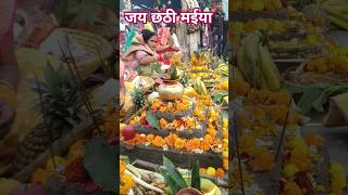 छठ पूजा Chhath puja Status 💫💖Kelwa ke paat par chhath puja song chhath chhathpujaviral [upl. by Adair]