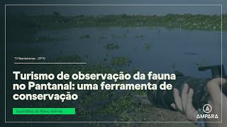 Turismo de observação no Pantanal uma ferramenta de conservação l TV Bandeirantes EP10 [upl. by Haida]