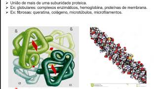 PROTEÍNAS [upl. by Cohlette]