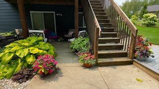 Planters amp Projects Update Overwintered Geraniums Plants Borrowed From My Yard Mr Stacky amp More [upl. by Walliw]