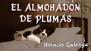 El ALMOHADÓN de PLUMAS  HORACIO QUIROGA  AUDIOLIBRO📖  ASMR  VOZ HUMANA👽 [upl. by Kieger]