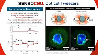 SENSOCELL Optical Trapping Platform Overview [upl. by Anetsirk]