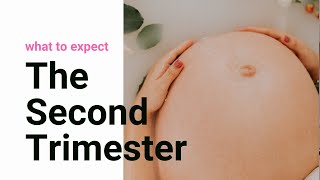 The Second Trimester of Pregnancy  What to Expect  10 Tips for the Second Trimester [upl. by Garap]