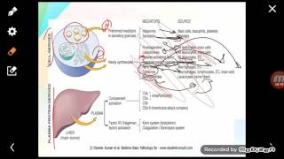 Inflammation part3 chemial mediators [upl. by Whipple]