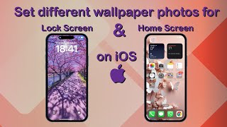 How to Set Different Wallpaper for the Lock Screen amp Home Screen on iOS [upl. by Eldwun490]