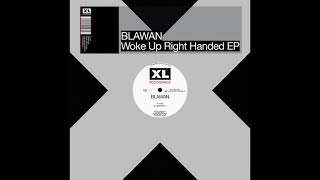 Blawan  Under Belly [upl. by Mariya]