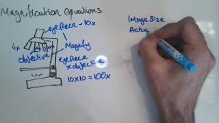 Magnification Equations GCSE [upl. by Tenney]