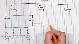 Sympathomimetics Katzung Ch 9 Pharmacology Complete explanation [upl. by Harhay163]