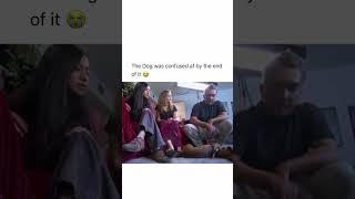 The dog 🐕 wait for end 😭 nshortstrumpnews usafunnyvideo [upl. by Adnuhsed449]