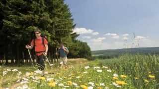 Travel Guide Rhineland Germany  Romantic Germany RhinelandPalatinate [upl. by Phail]