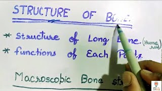 Structure of long bone Macroscopic  Neet amp Nursing students  Medical Pathshala [upl. by Dasi293]