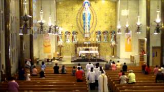 The Order of the Mass  Procession from the choir loft [upl. by Cul]