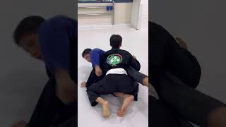 기무라  Kimura Lock  BJJ Submission  주짓수 기술 [upl. by Rosenberger]