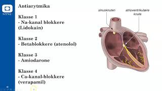 Konkrete legemidler C Hjerte og kretsløp [upl. by Edwyna553]