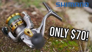 Is The Shimano Sedona Worth The Money Honest Review [upl. by Yzmar946]