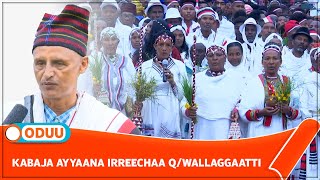 KABAJA AYYAANA IRREECHAA QWALLAGGAATTI [upl. by Anemaj]