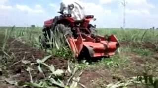 Rotary TillerCultivator in Operation at Sugarcane field [upl. by Calvano]