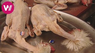 Zu Tisch in der Bresse  Französisches Huhn mit Nationalfarben [upl. by Sonahpets]