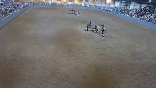 Topeka Livestock Auction Live Stream [upl. by Robma149]