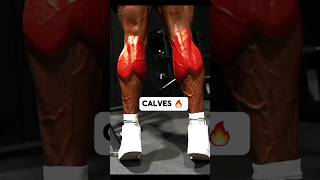 Sculpt Strong Calves  Effective Workout Tips and Exercises [upl. by Burkhard]