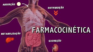 Farmacocinética  Da Absorção à Excreção [upl. by Chappy]