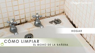 Cómo LIMPIAR el moho de la BAÑERA y los azulejos 🧹 ¡Método fácil y barato 🧽🛁 Hogarmania [upl. by Nikkie]