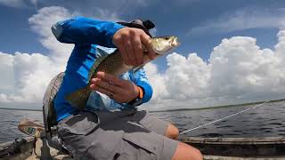 Drifting For Spotted Seatrout saltwater fishing floridalife yamaha25hp alumacraft gopro [upl. by Karlow]