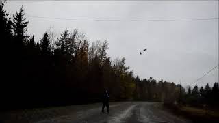 throwing shoes over power lines in the rain [upl. by Aerona582]