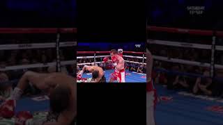 CANELO ALVAREZ KNOCKS OUT AMIR KHAN IN SLOW MOTION [upl. by Nylkoorb449]