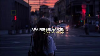 apa fer milaange  slowed reverb [upl. by Innor878]